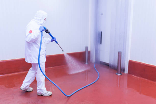 Best Oil Spill Cleanup  in East San Gabriel, CA